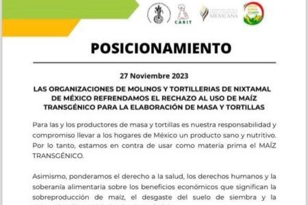Rechazan uso de maíz trangénico en elaboración de tortillas