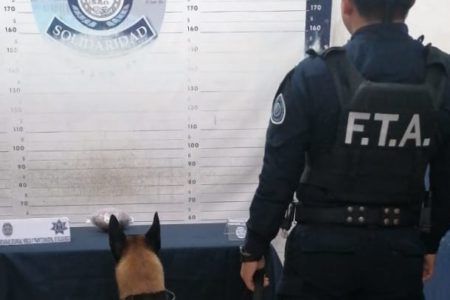 Asegura policía municipal paquete de drogas en playa Punta Esmeralda
