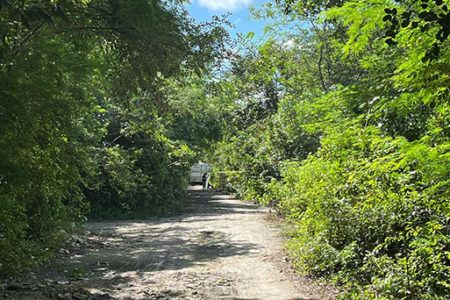 Hallan tres cuerpos en la colonia La Amistad de Cancún, dos de ellos, decapitados