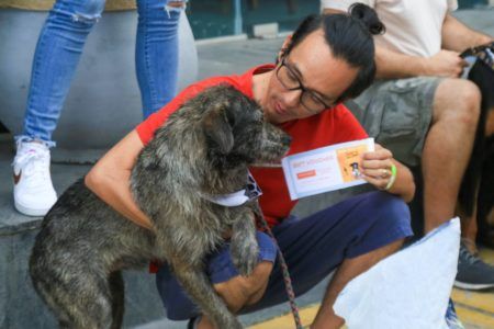 Impulsa gobierno de Lili Campos más espacios Pet Friendly en Solidaridad