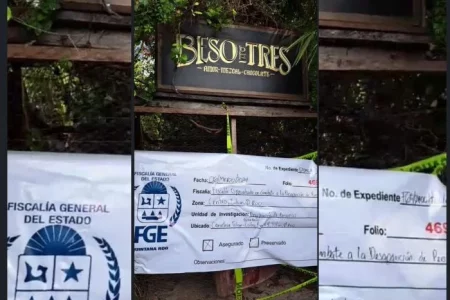 FGE asegura predio en Tulum donde se hallaron restos humanos