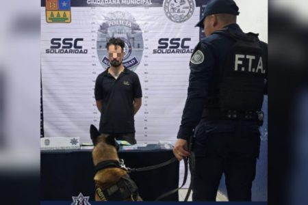 Canino detecta a “Chilango” con posibles narcóticos en Playa del Carmen
