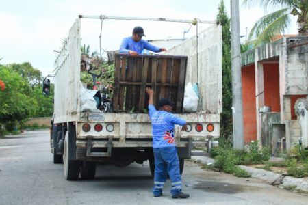 Refuerzan campañas contra la proliferación del mosquito transmisor del dengue en Solidaridad