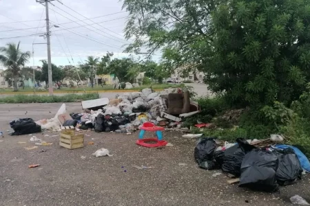 Ana Patricia de la Peña renunció al cargo, dejando a Cancún hundido en la basura