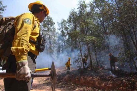 Incendios forestales han afectado más de 48 mil hectáreas en el país