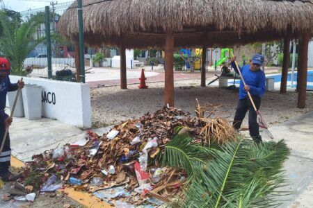 Invitan hacer reportes para limpieza de parques y jardines
