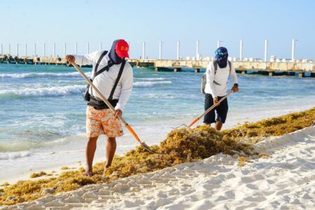 Solidaridad mantiene playas atractivas en plena temporada de sargazo