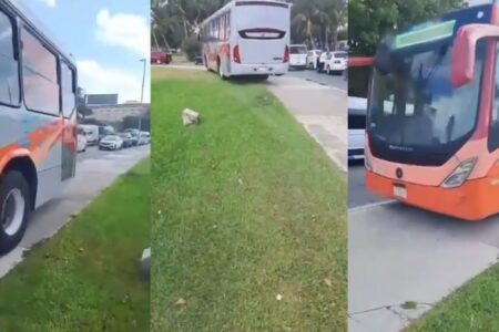 ¡Otra más del transporte público en Cancún! Graban a camión del SEA sobre la banqueta en la zona hotelera