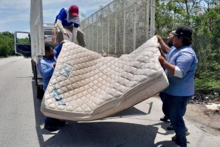 Solidaridad toma medidas de precaución contra el dengue
