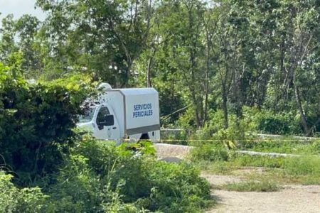 Hallan un cuerpo sin vida en un área verde de la colonia Santa Cecilia