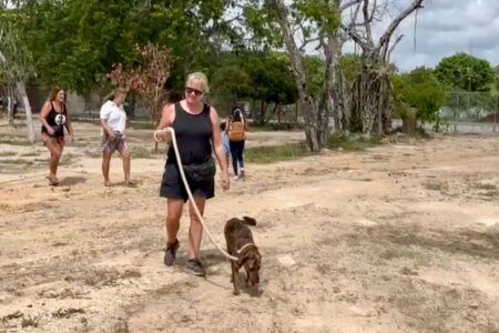 Ingresarán iniciativa ciudadana para aumentar las penas de cárcel para quienes maltraten a los animales