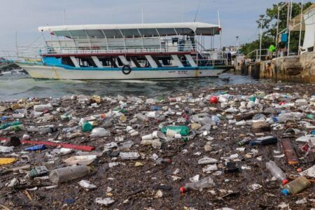 Contaminación afecta 18 playas en México: Cofepris alerta que no son aptas