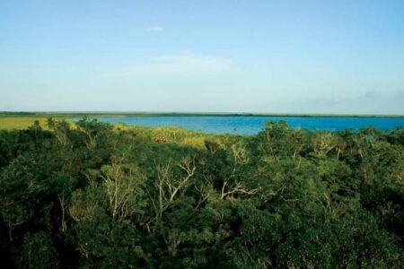 Detecta Sedetus ventas fraudulentas de terrenos en Cozumel