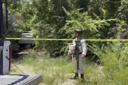 Hallan cuerpos de tres taxistas ejecutados en una brecha cerca de la carretera Tulum-Playa del Carmen