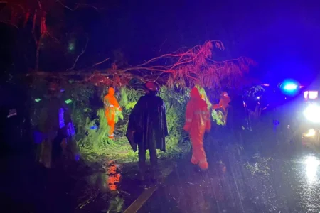 Tormenta tropical “John” deja dos muertos en Guerrero, confirma la gobernadora Evelyn Salgado