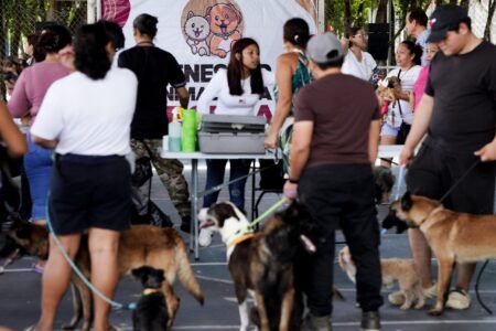 Anuncian brigadas de Bienestar Animal en Solidaridad para 2025