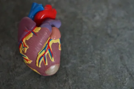 El corazón envía señales al cerebro para fomentar el sueño y la recuperación tras un infarto