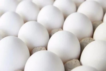 Día Mundial del Huevo: un alimento esencial en la dieta mexicana