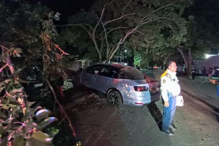 Conductor se estrella contra árbol y deja sin luz a vecinos de la colonia Guadalupe