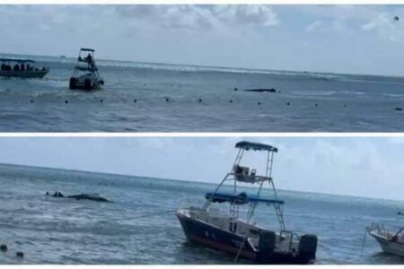 Una embarcación se hundió esta mañana en Coco Beach, colonia Xaman-Ha