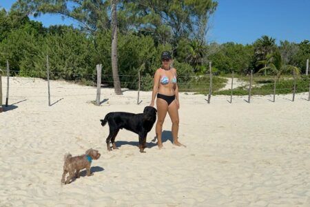Dos perros rescatados en zona de playas están listos para adopción, informa Normatividad Ambiental