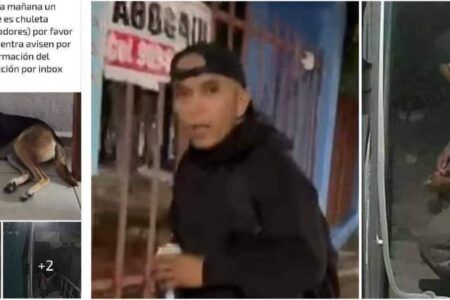 Indignación en Villas del Sol por caso de presunto abuso animal contra perrita “Chuleta”