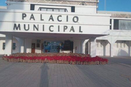 Playa del Carmen se viste de Navidad con 30 mil plantas de Nochebuena