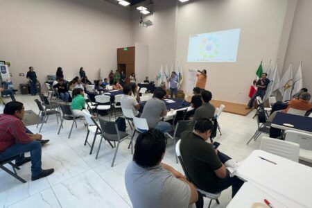 Solidaridad prepara estrategia integral ante recale de sargazo en 2025