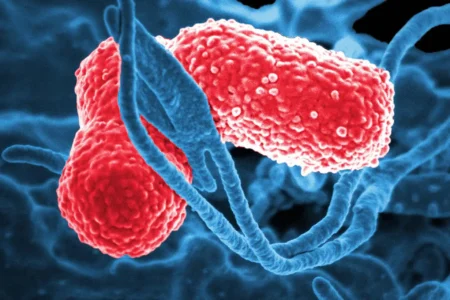 Sheinbaum anuncia investigación por bacteria que mató a menores en hospitales del Edomex