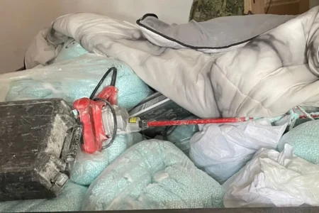Histórico decomiso de fentanilo en Sinaloa: autoridades aseguran mil 500 kilos en operativos conjuntos