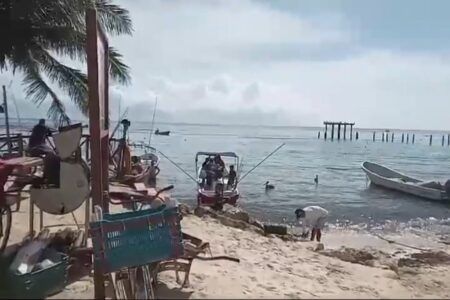 Cooperativa turística Mar Caribe cierra 2024 operando al máximo de su capacidad