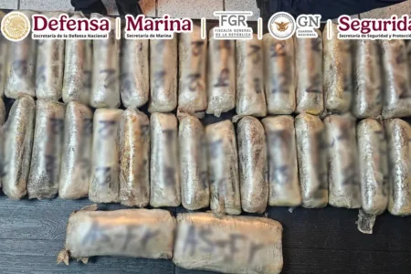 Fuerzas federales decomisaron más de 4 toneladas de droga en Sonora y Baja California