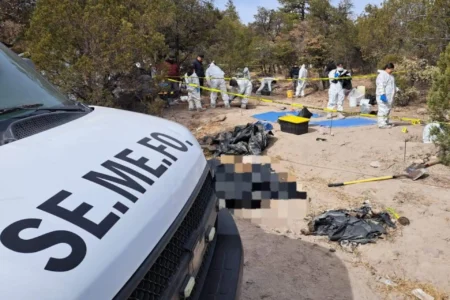Hallan fosas clandestinas con 72 cuerpos en Casas Grandes, Chihuahua