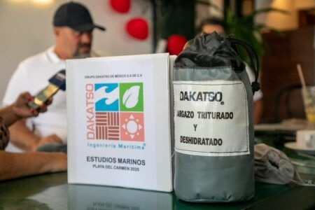 Empresa Dakatso exportará sargazo de Playa del Carmen a Estados Unidos