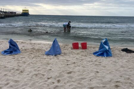 Zofemat retira de la playa a terapeutas clandestinos