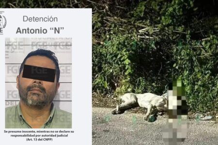 Despiadado sujeto golpeó a perrito hasta llevarlo a la muerte clínica en Chetumal