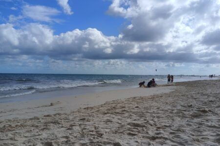 Libres de sargazo tres arenales de Playa del Carmen, recomendables para Semana Santa