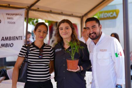 Concluyen rezago de permisos ambientales en Playa del Carmen