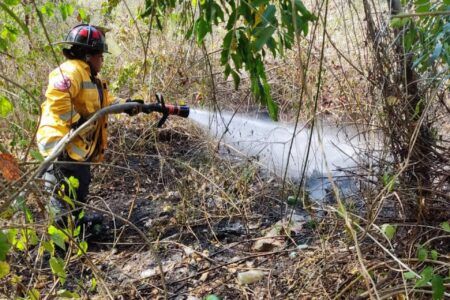 Controlan incendio en CTM y Lilis gracias a respuesta inmediata del Gobierno de Playa del Carmen