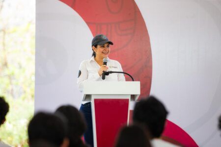 ¡Es falsa la tala de mangle en Playa Mamitas!