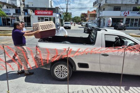 Rescata Fiscalía al “Rambo”, perrito abandonado desde hace un año