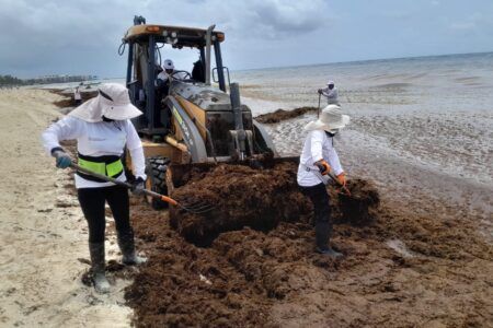 Zofemat encabeza acciones contra el sargazo en Playa del Carmen como parte de la “Operación Sargazo 2025”